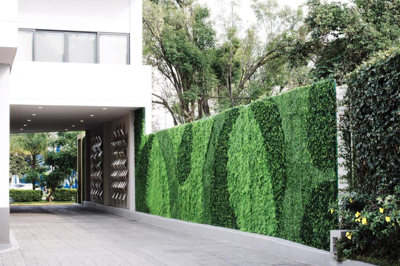 Aurea Hotel And Suites Zapopan Εξωτερικό φωτογραφία